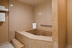 Jetted Tub in Bathroom