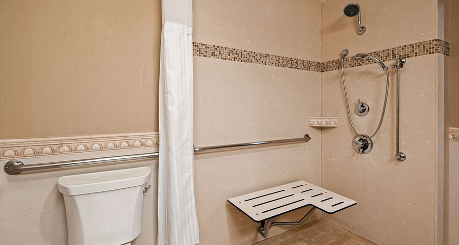 Accessible bathroom with roll-in shower and grab bars